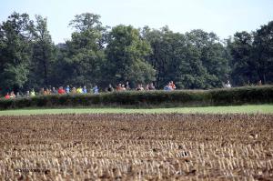 Twickelloop 2018 - 10 km