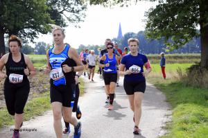 Twickelloop 2018 - 10 km