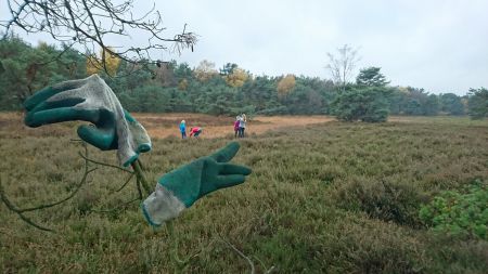 Natuurwerkochtend Vrienden van Twickel op 10 maart 