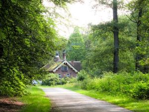 Wandeling door Twickel