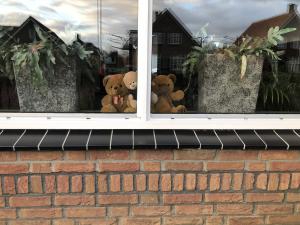 Berenjacht in Delden