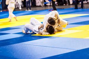 Stichting Judosport Oost