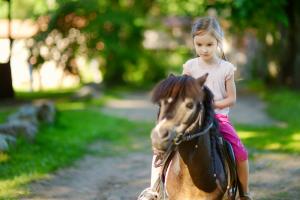Ponyclub Deldenerbroek