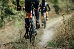 Twickeltrappers Delden