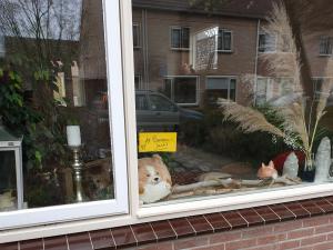 Berenjacht in Delden