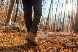 Wandeling Delden - Bentelo